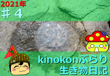 Thumbnail of post image 188